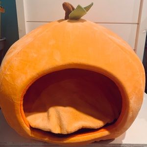 petsmart pumpkin bed